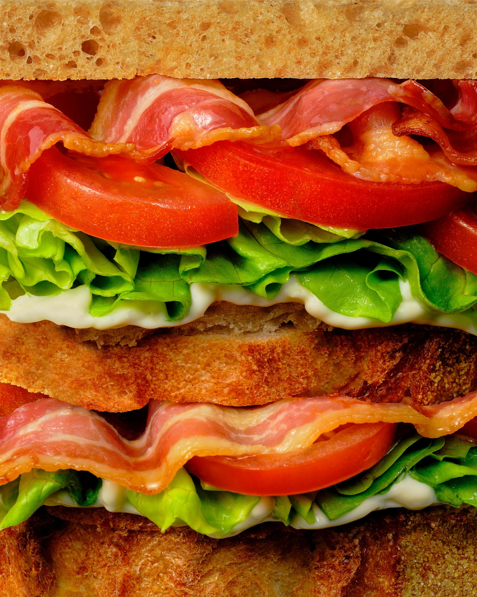 Macro layers of bacon, tomato, lettuce and toasted bread