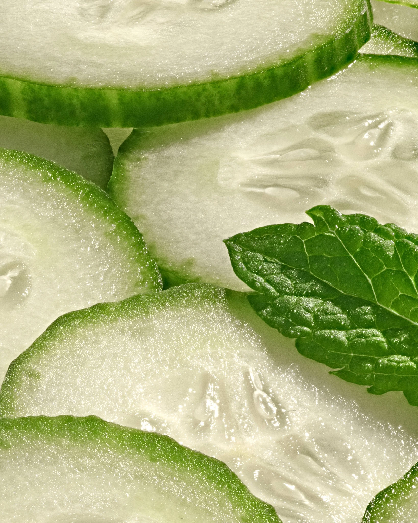 Close cucumber slices with fresh mint leaves